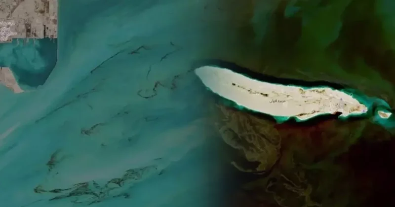 Körfez de petrol sızıntısı! 100 milyon insan tehlikede