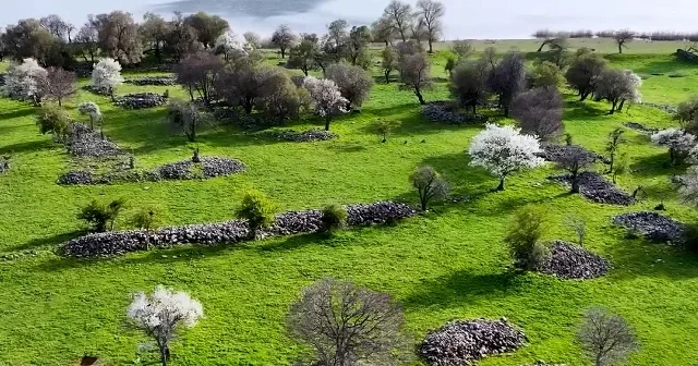 Beyşehir de iki mevsimin güzelliği bir arada yaşanıyor VİDEO İZLE