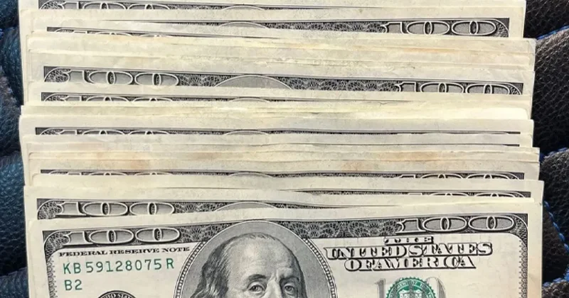 Dövizin eski dediler 44 yerine 40 liradan bozmaya çalıştılar!