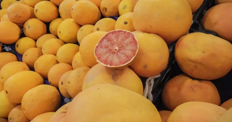 İhracatın lokomotifi turunçgil oldu: Gelirler yüzde 61 yükseldi