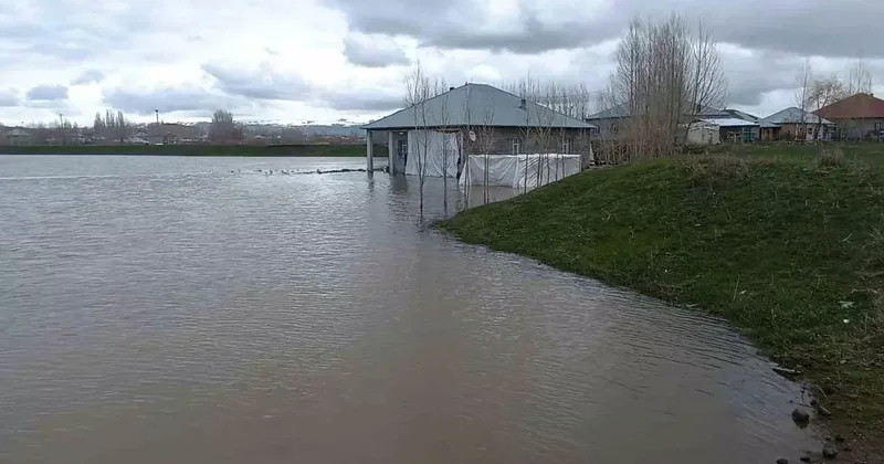 Ağrı da evleri su bastı: Sağanak taşkına neden oldu