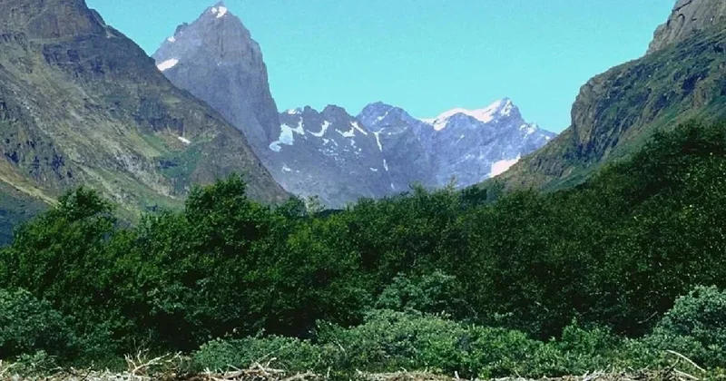 Dört bir yanı buzlarla çevrili ülkenin gizli hazinesi: Yemyeşil bir cennet Sözcü Gazetesi