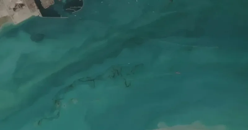 Basra Körfezi nde petrol sızıntısı alarmı: Acil durum uyarısı! Sözcü Gazetesi