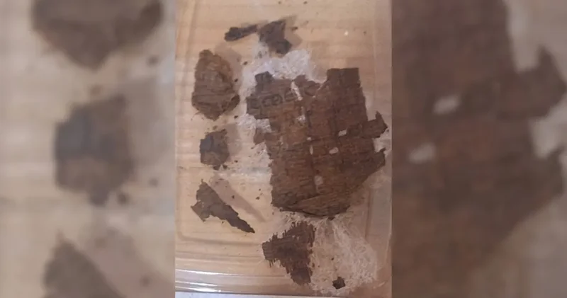 Antik Mısır mezarından 2 bin 800 yıllık Yunan destanı çıktı