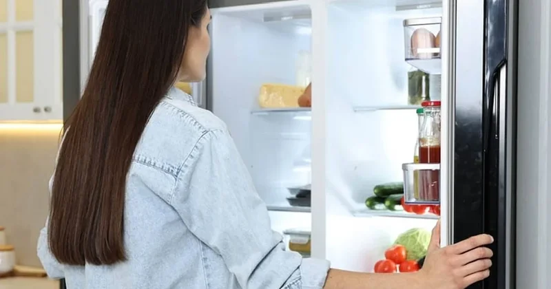 Buzdolabı kapağındaki gizli tehlike: Bu 7 gıdayı sakın koymayın Sözcü Gazetesi