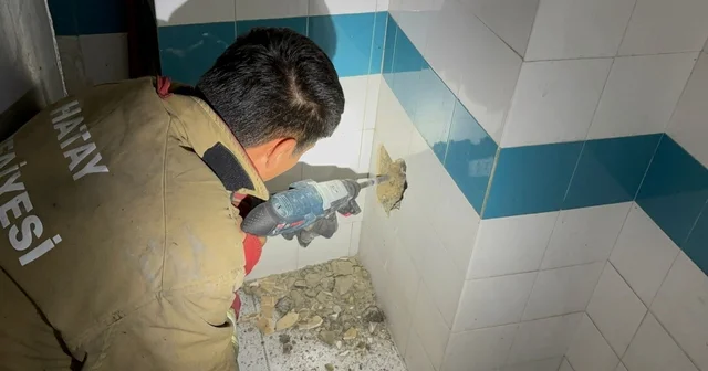 Bacadan düşerek mahsur kalan yavru kedi duvarın kırılmasıyla kurtarıldı Hatay Haberleri