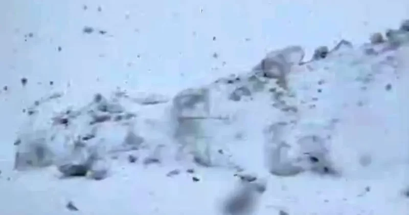 Hakkari’de mayıs ayında kar yağışı