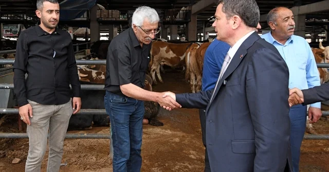 Osmangazi de kurban satış ve kesim alanları hizmete hazır Bursa Haberleri