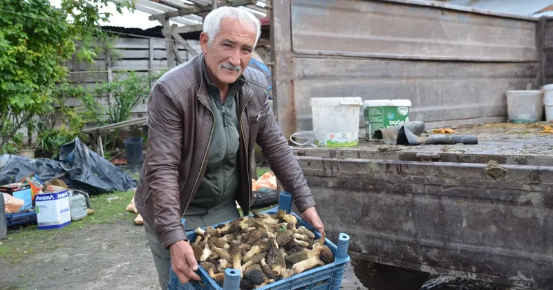 Yanan ormandan adeta para fışkırdı: Köylüler ellerinde sopalarla peşine düştü!