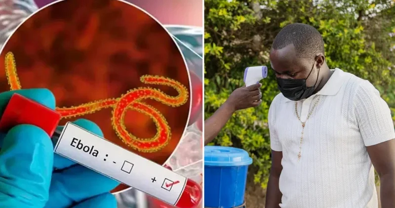 Ebola salgını nedeniyle 4. Hindistan Afrika Forumu Zirvesi ertelendi Dünya Haberleri