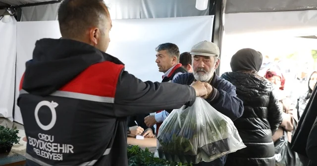 Ordu Büyükşehir, 7 yılda 5 milyona yakın fide dağıttı 300 bin adet yazlık sebze fidesi dağıtımı devam ediyor Ordu Haberleri