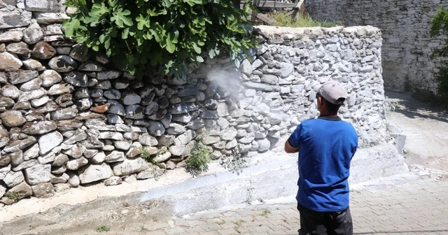 Bozdoğan da haşereye karşı kireçleme çalışmaları sürüyor Aydın Haberleri