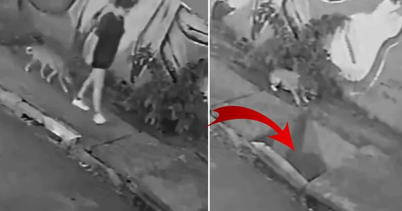 Köpeğiyle yürüyen genç kadın kapağın kırılmasıyla kanalizasyona düştü