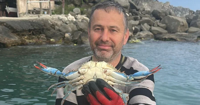 Karadeniz de nadir görülüyor! Sinop ta balıkçıların ağına takıldı