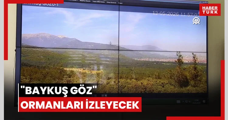 Baykuş Göz ormanları izleyecek