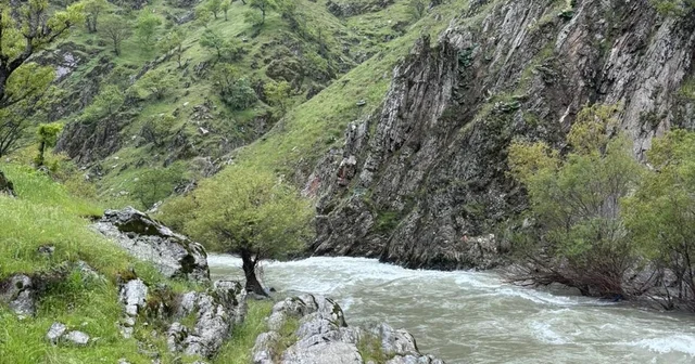 Muş ta çaya düşen kadını arama çalışmaları sürüyor Muş Haberleri