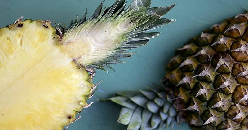 Bu 3 rahatsızlıktan herhangi birine sahip kişiler kesinlikle ananas yememeli Sözcü Gazetesi