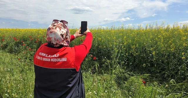 Tarlalarda dijital tarım çalışmaları Kırklareli Haberleri