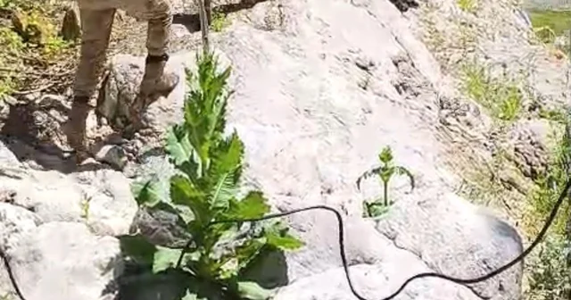 Kayıp üniversite öğrencisi için kanyon ve mağaralar didik didik taranıyor Komandolar ve arama kurtarma ekipleri zorlu arazide iz sürüyor Karabük Haberleri Habertürk Yerel Haberler