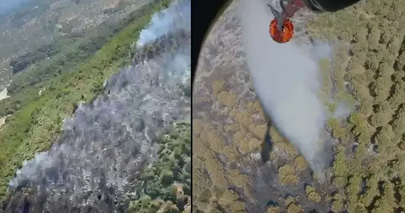 Balıkesir de orman yangını
