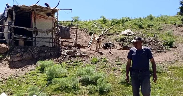 17 yaşından beri yılın 6 ayını yaylada tek başına geçiriyor Erzincan Haberleri Habertürk Yerel Haberler