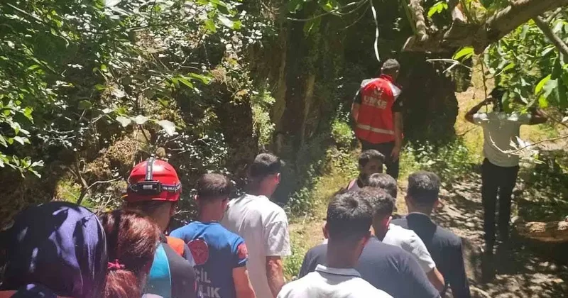 Hakkâri’de kayalıklardan düşen vatandaşı AFAD ve UMKE kurtardı