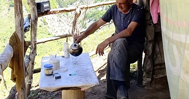 Yalnız Dağ Çobanı: İbrahim Aydemir in Zorlu Yaşamı