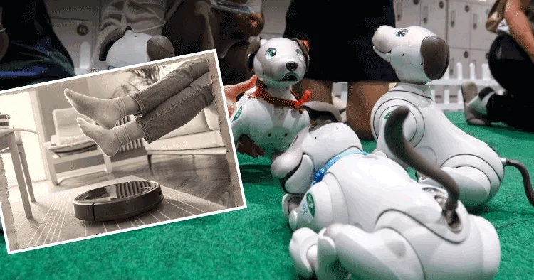 Robot süpürgeler geçmişte kaldı: Yeni asistanlar tehlikeli olabilir