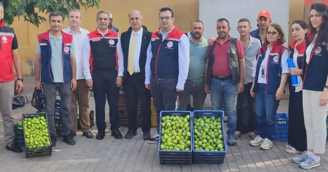Aydın ın dünya markası inciri için sahada yoğun mesai Kaliteli incir için ilek denetimleri sürüyor Aydın Haberleri Habertürk Yerel Haberler