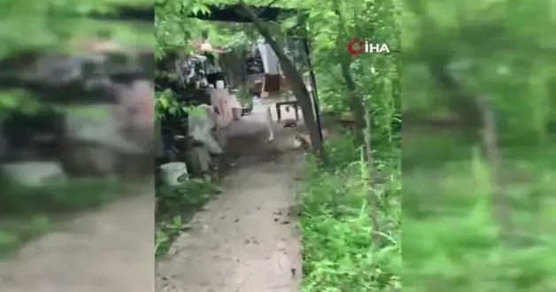 Ceviz bulamayınca kabı yere fırlattı: Sincap ile vatandaşın diyaloğu gülümsetti