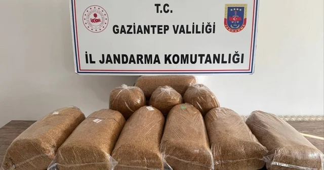 Gaziantep te 353 aranan şahıs yakalandı 2 ton 155 kilogram gümrük kaçağı tütün ele geçirildi Gaziantep Haberleri Habertürk Yerel Haberler