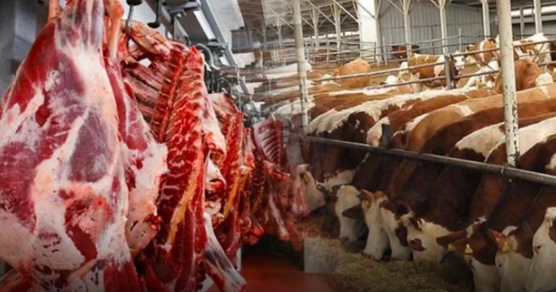Paraguay asıl golü Türkiye ye sığır eti ithalatı ile attı Sözcü Gazetesi