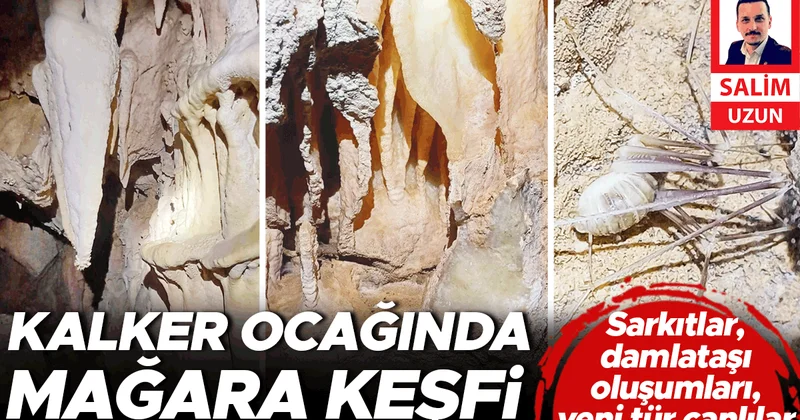 Sarkıtlar, damlataşı oluşumları, yeni tür canlılar... Kalker ocağında mağara keşfi