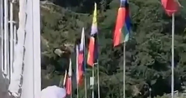 Macaristan da Orban sonrası LGBT ye dönüş başladı: Köprü bayraklarla donatıldı yürüyüş yasağı kaldırıldı VİDEO İZLE