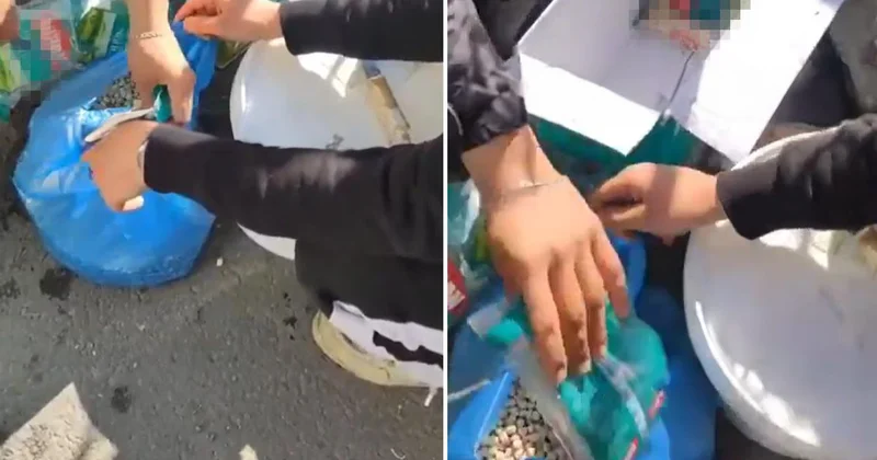 Esnaftan pes dedirten oyun! Marketten alıp köy nohudu diye satmışlar