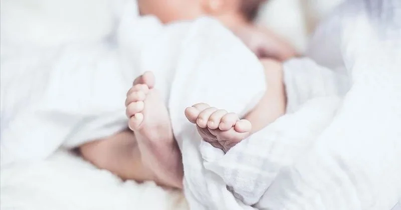 Avustralya da 15 milyonda bir görülen tek yumurta dördüzü doğdu Son Haberler