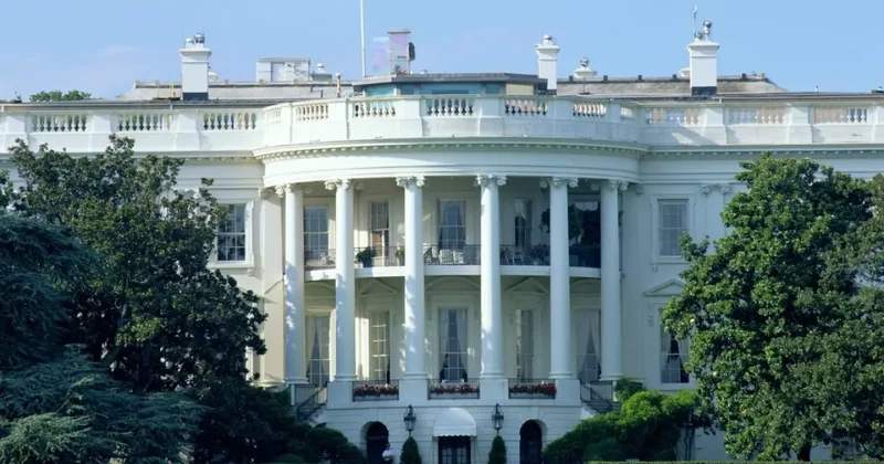 ABD de yapay zeka krizi: Trump ın atadığı kişi istifa etti!