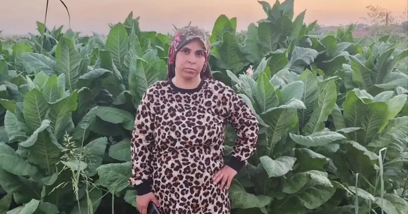 Tarlada beyin kanaması geçiren 3 çocuk annesinden acı haber