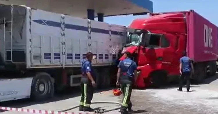 Kabine giren arı faciaya yol açıyordu! Alerjisi olan şoför bayılınca TIR istasyona daldı