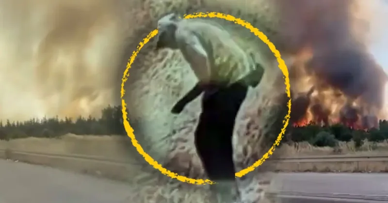 Ormanı yakan şüpheli suçüstü kamerada! Görüntüler ortaya çıktı