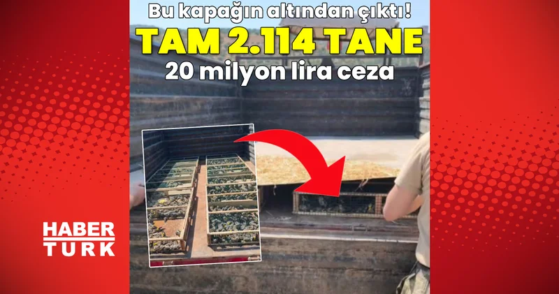 SON DAKİKA HABERİ: Kapağın altından çıktı! Tam 2 bin 114 adet Son dakika Hatay haberleri Son dakika haberleri