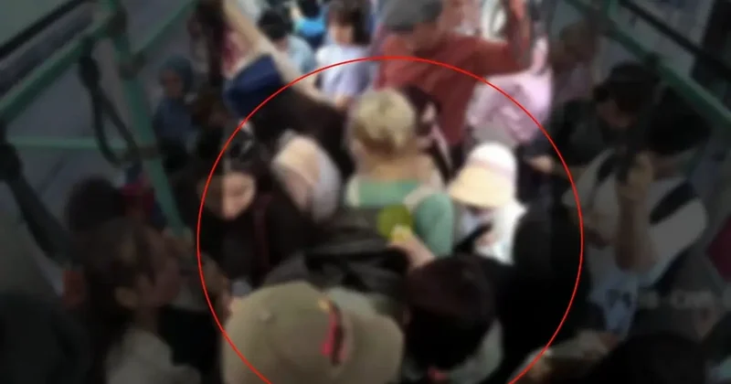 Çoğu yabancı uyruklu; İstanbul da günde 10 eylem yapıyorlardı! Organize hırsızlık çetesi çökertildi