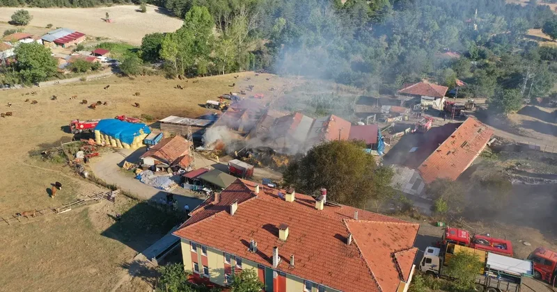 Kastamonu da çıkan yangında 14 büyükbaş hayvan telef oldu