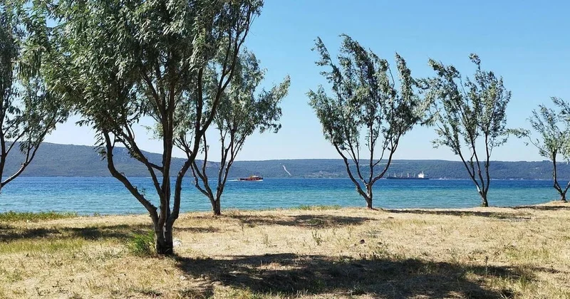 Çanakkale’de plajda mühimmat bulundu Sözcü Gazetesi