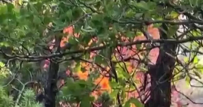 Diyarbakır’da örtü yangını