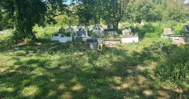 Bebek cesedi gömüldüğü ihbar edilen yere kedi gömüldüğü ortaya çıktı Zonguldak Haberleri Habertürk Yerel Haberler