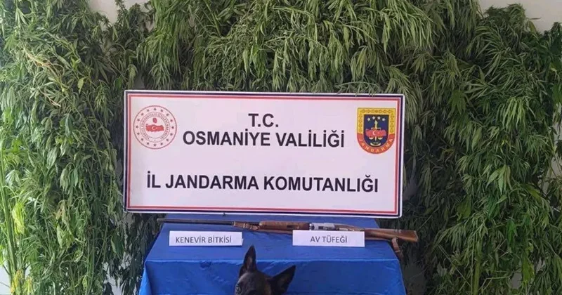 Osmaniye’de jandarma bir haftada 128 şüpheli yakaladı