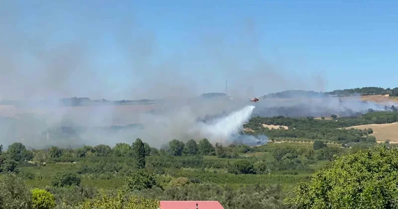 Lapseki’de tarım arazisindeki yangına müdahale devam ediyor