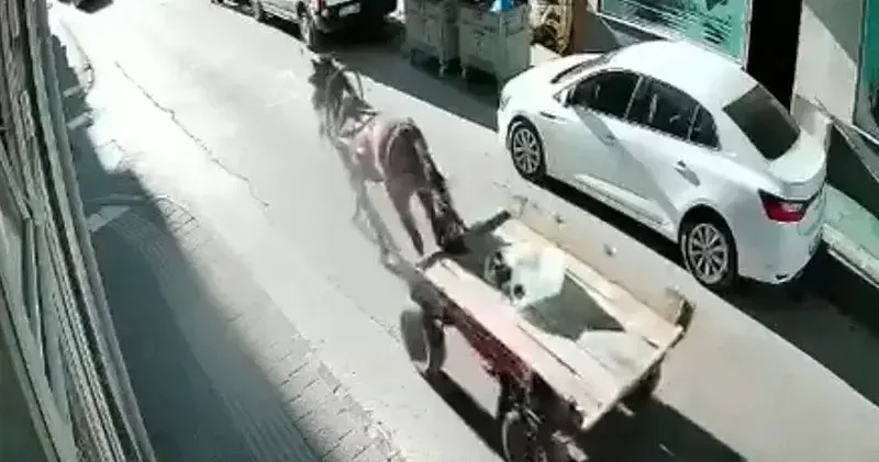 Sürücüsüz at arabası, otomobile çarptı; o anlar kamerada