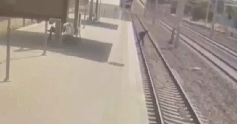 Tren Raylarına Atlayan Doktor Hayatını Kaybetti